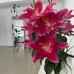 Luxury City Apartment Duesseldorf